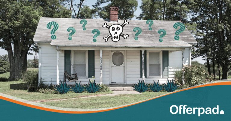 DIY Is DEAD blog image