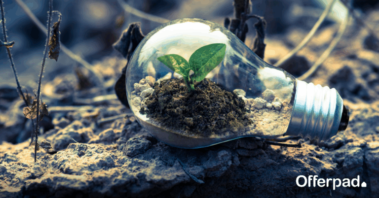 Eco-friendly home 2020