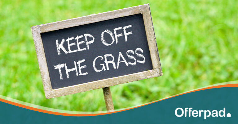 Summer-Lawn-Issues_Keep-Off-Grass-Blog-Image