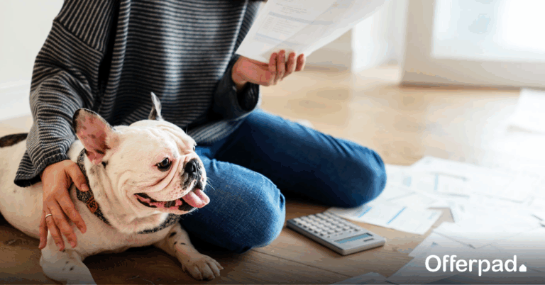 tax season homeowners